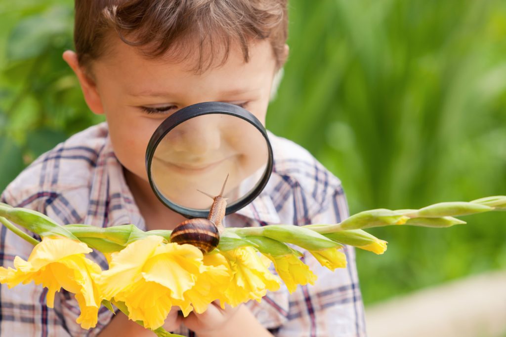 Child looking at a butterfly outside