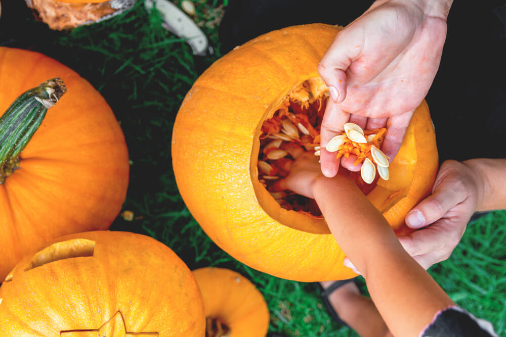 pumpkins with small hands cleaning them